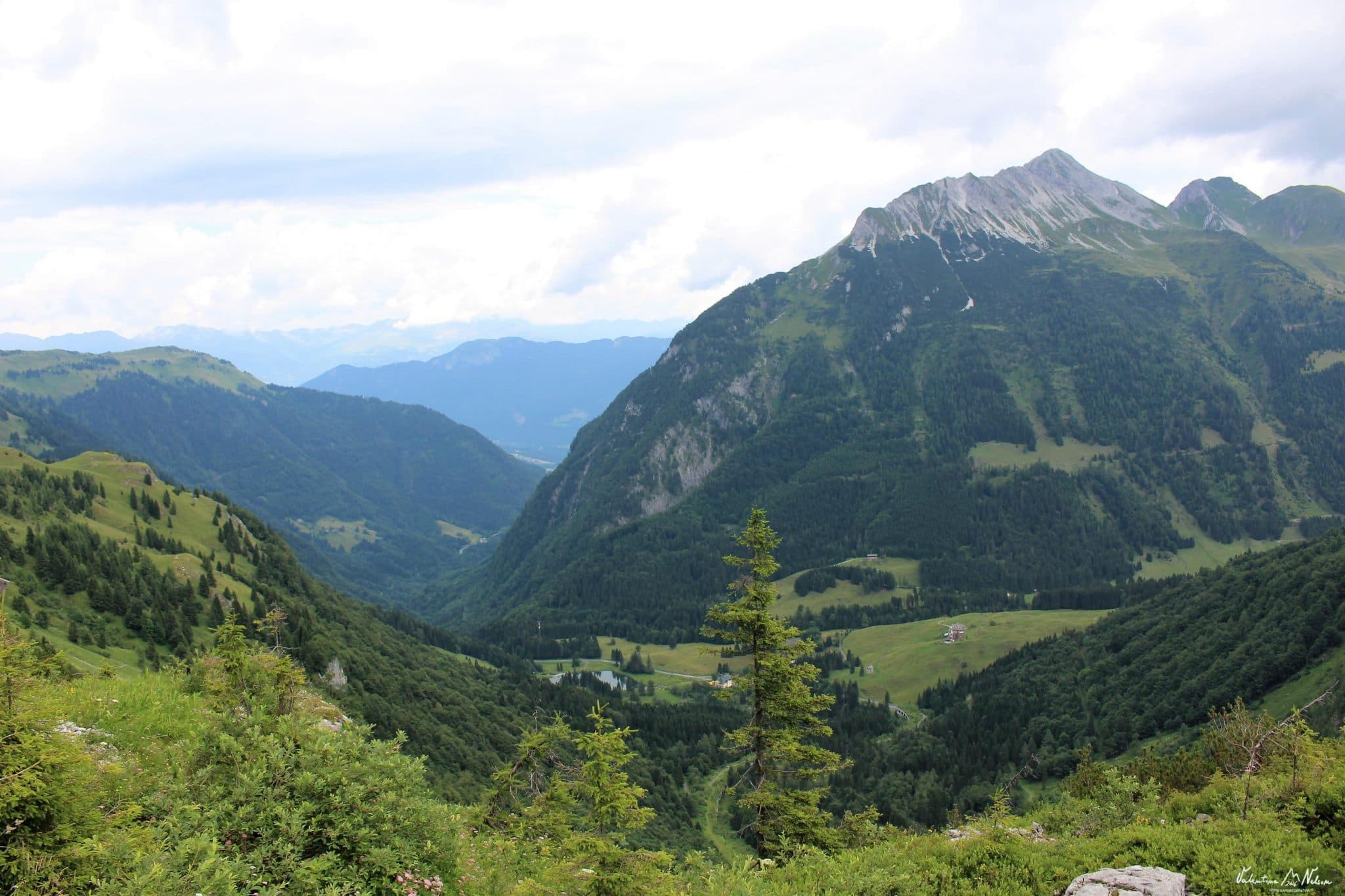 Passo-Monte CC- Roma