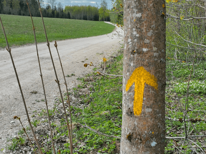 segnaletica percorsi estonia3