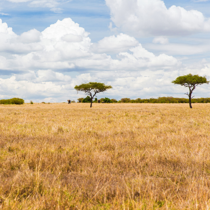 Immagine ruralities box 1