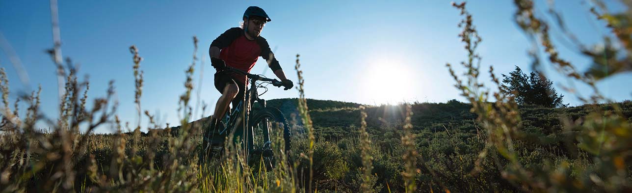 biketours_modena_sulla_via_romea_strata.jpg
