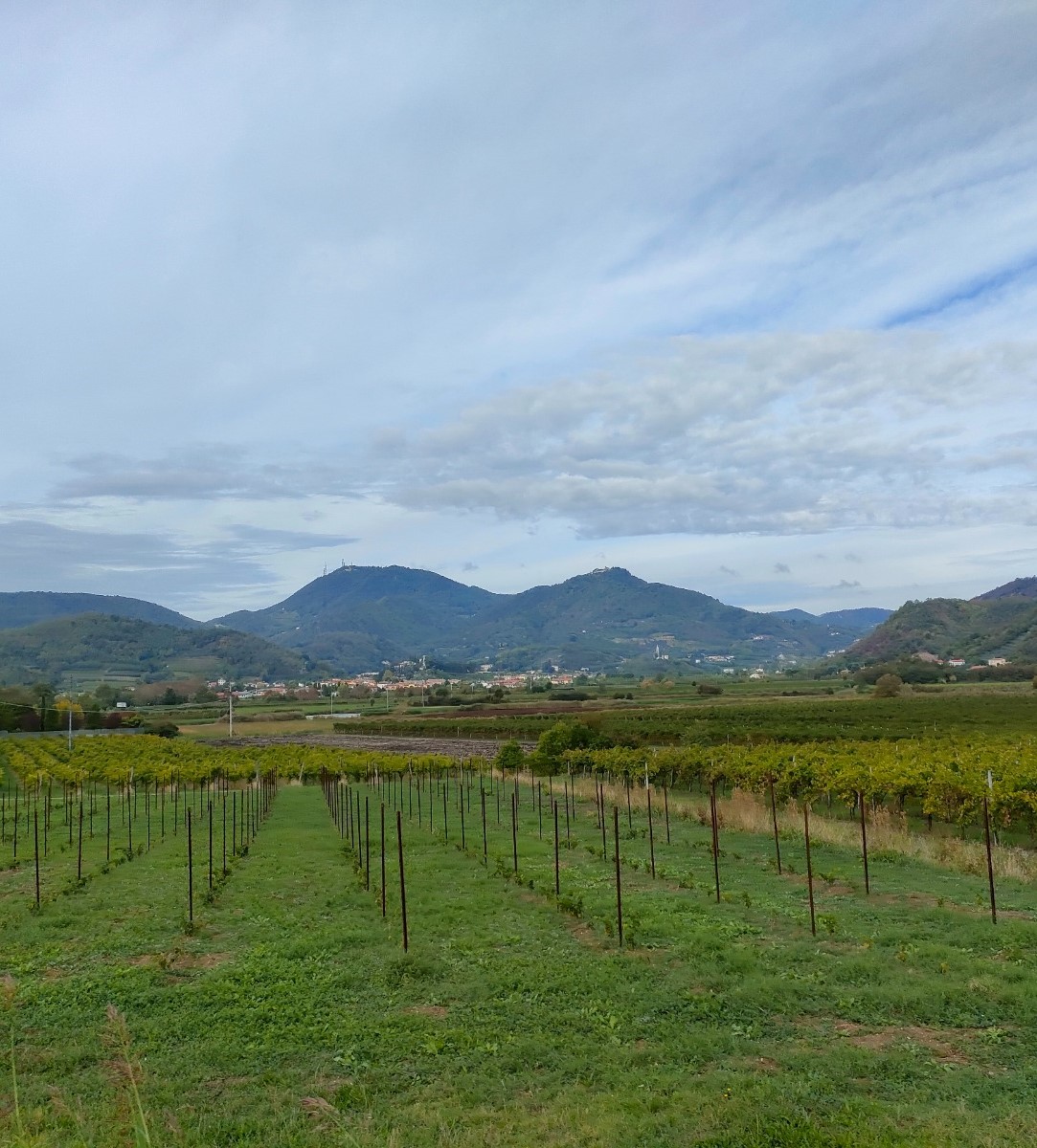 Dal Gal Patavino due mappe interattive per valorizzare la Bassa e i Colli Euganei