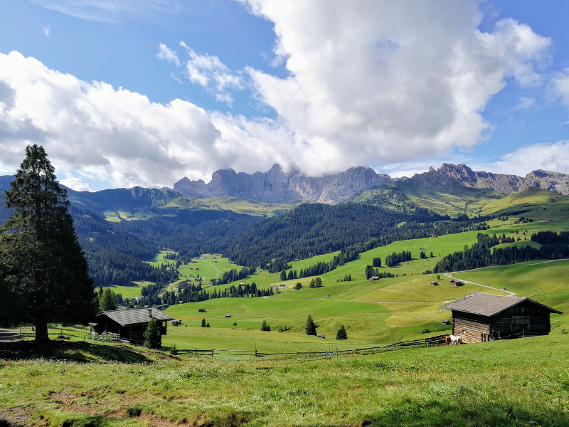 WHERE NATURE IS EMOTION