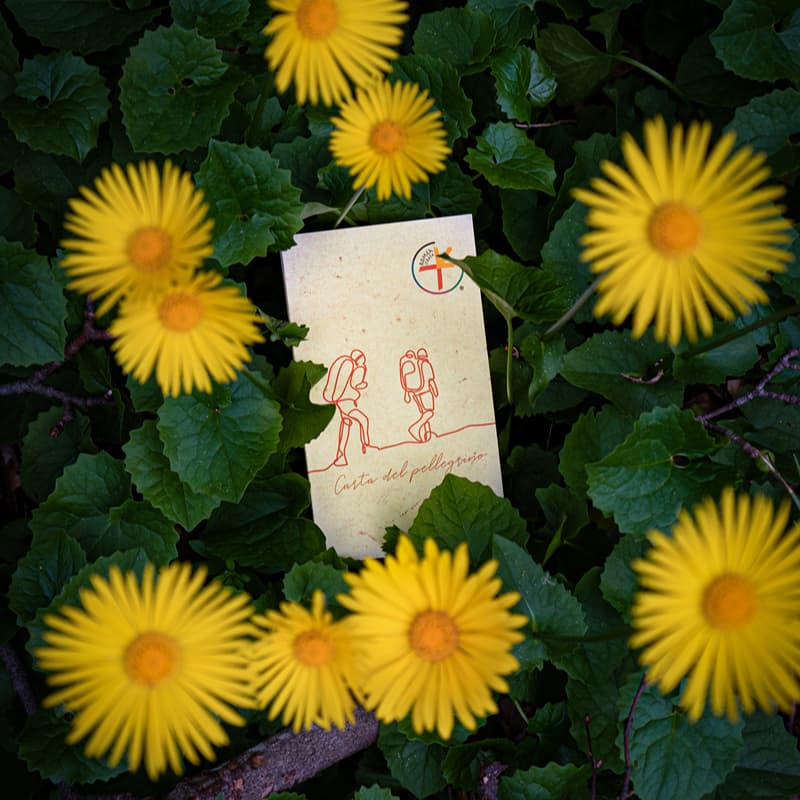 Cover credenziale