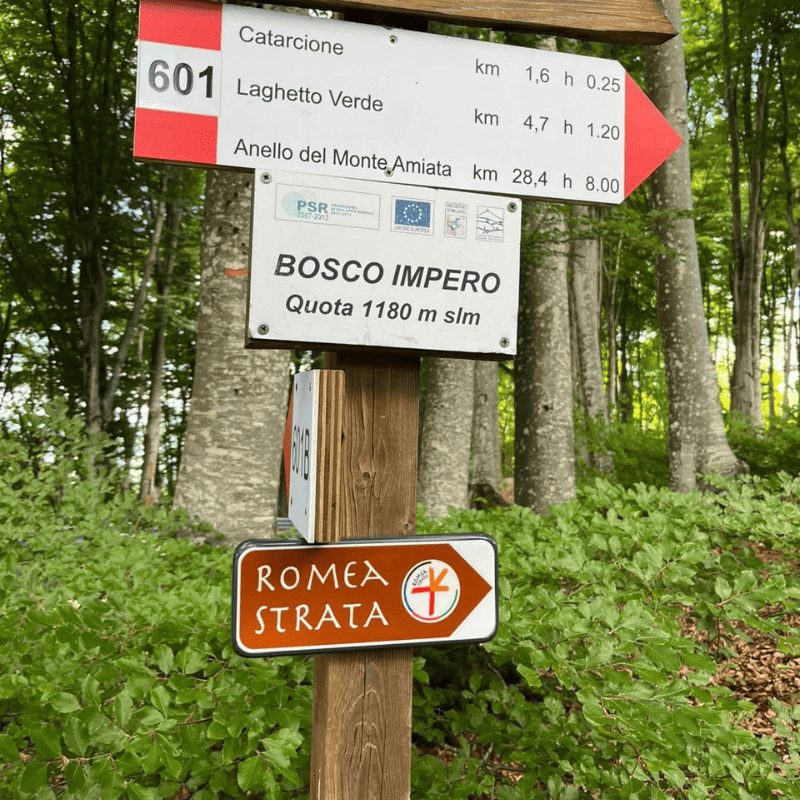 ultimo-miglio.png